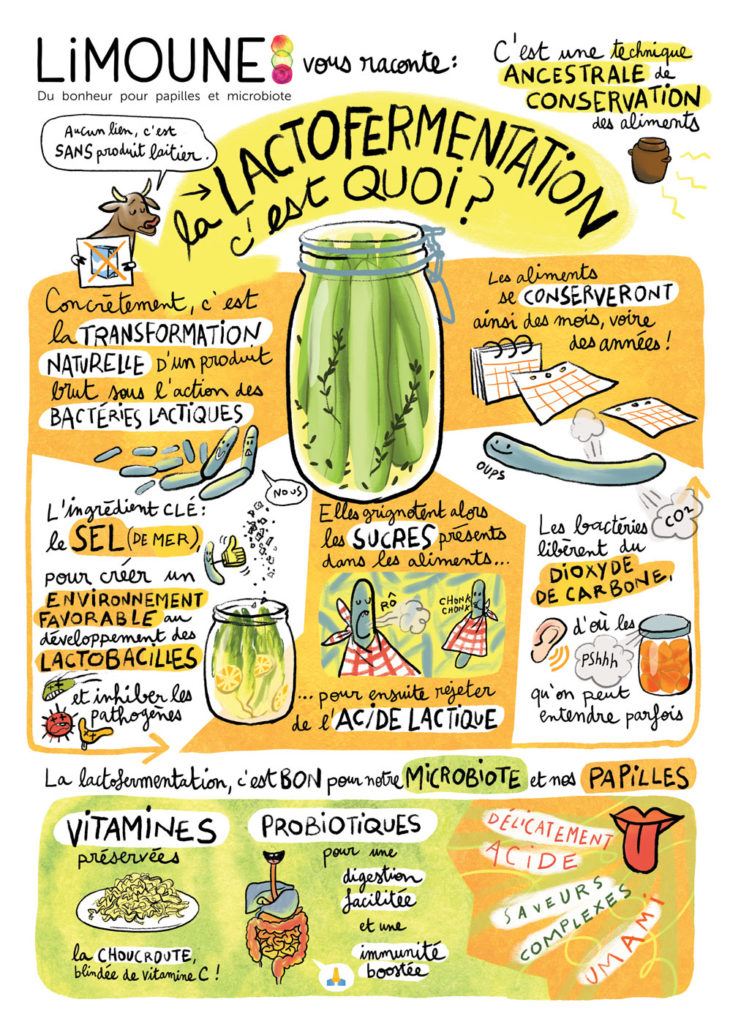 Limoune présente la lactofermentation